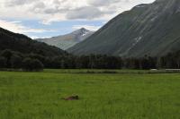 Bifogad bild: DSC_9748.JPG